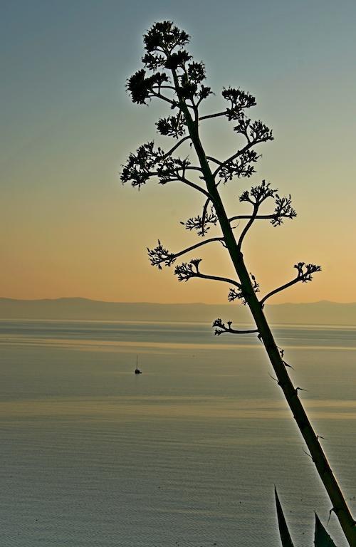 Idyllic Villa Marieta With Private Pool And Unforgettable View Makarska Zewnętrze zdjęcie